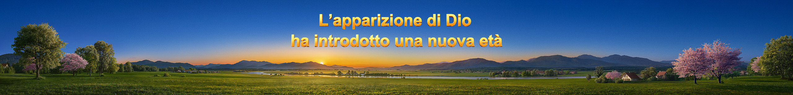 WB-关于我们Banner-初稿